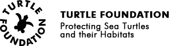 Logo-TF-long_en